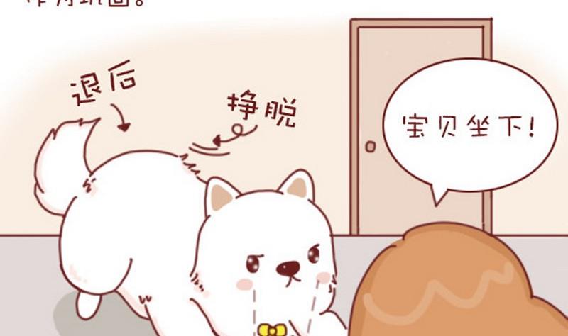 🍜有宠百科 第20话 第8页