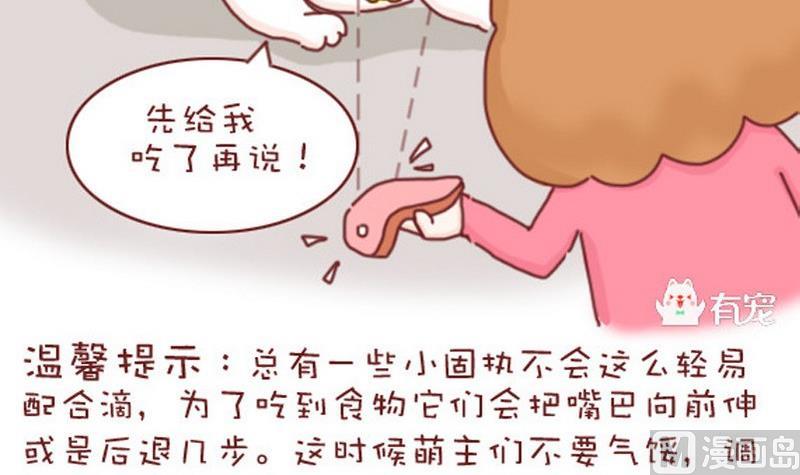 🍜有宠百科 第20话 第9页