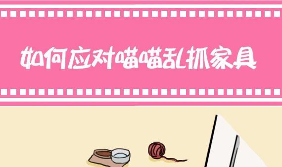 🍜有宠百科 第24话 第1页