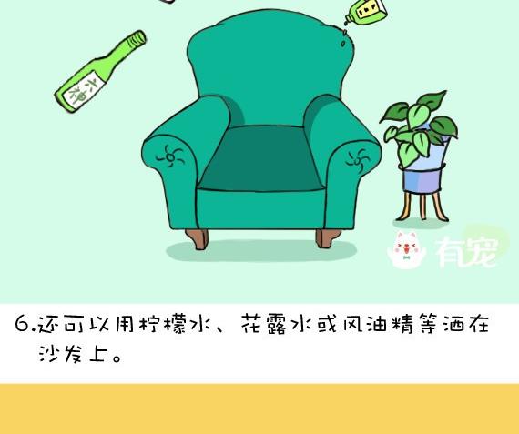 🍜有宠百科 第24话 第10页