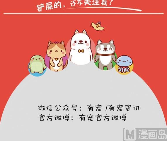 🍜有宠百科 第24话 第12页
