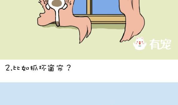 🍜有宠百科 第24话 第4页
