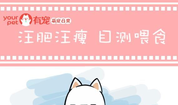 🍜有宠百科 第26话 第1页