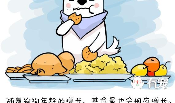 🍜有宠百科 第26话 第2页