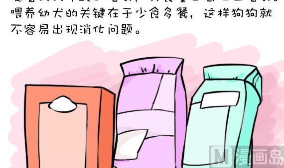 🍜有宠百科 第26话 第3页