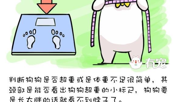 🍜有宠百科 第26话 第7页