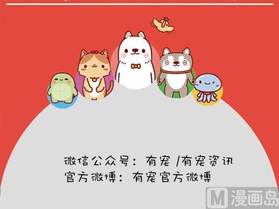 🍜有宠百科 第28话 第12页