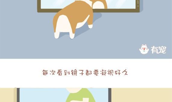 🍜有宠百科 第28话 第2页