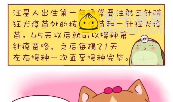 🍜有宠百科 第30话 第10页