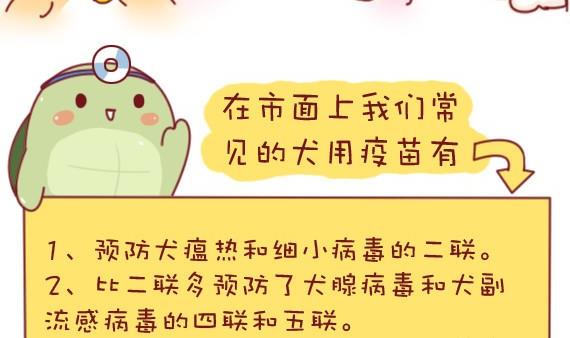 🍜有宠百科 第30话 第5页