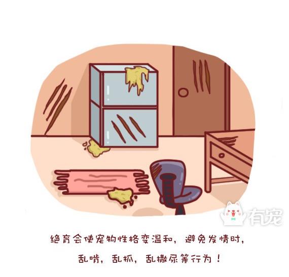 🍜有宠百科 第4话 第10页