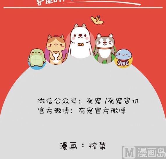 🍜有宠百科 第4话 第12页
