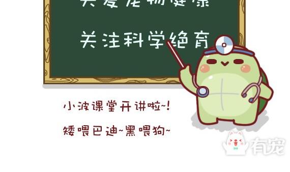 🍜有宠百科 第4话 第2页