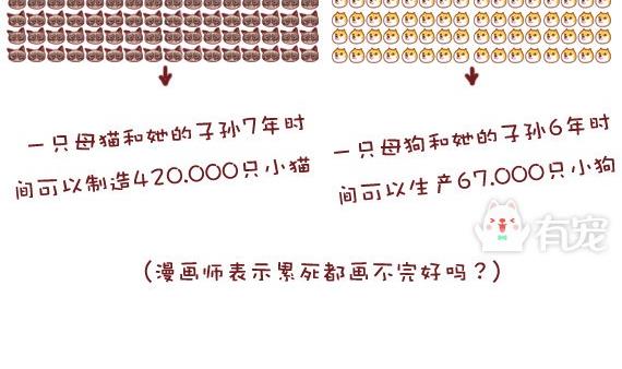 🍜有宠百科 第4话 第4页