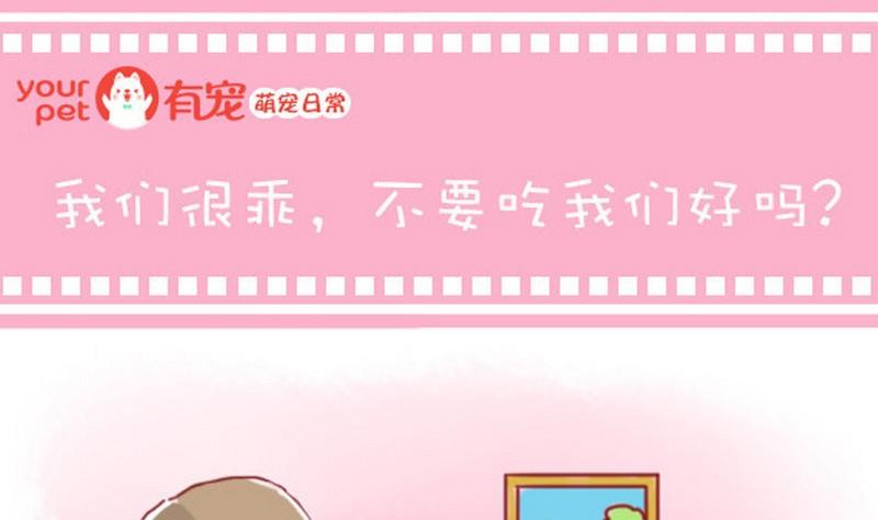 🍜有宠百科 第32话 第1页