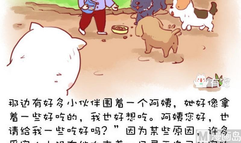🍜有宠百科 第32话 第12页