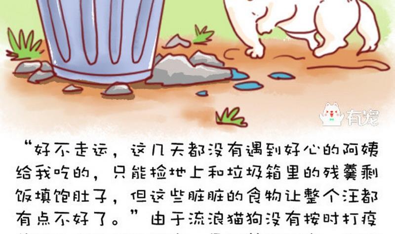 🍜有宠百科 第32话 第14页