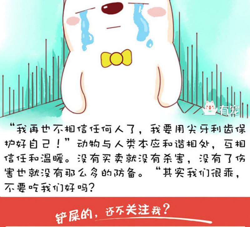 🍜有宠百科 第32话 第17页
