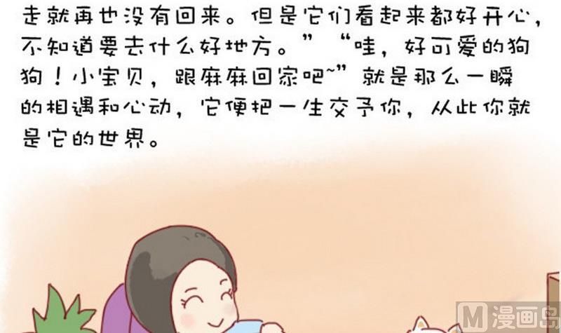 🍜有宠百科 第32话 第3页