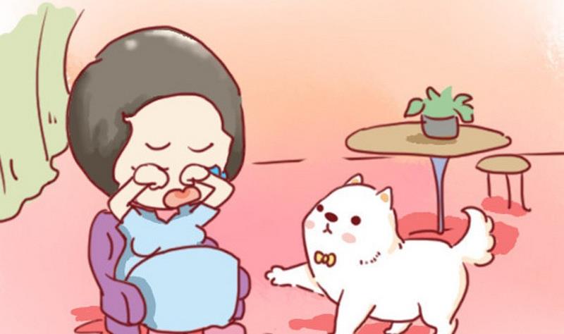 🍜有宠百科 第32话 第5页