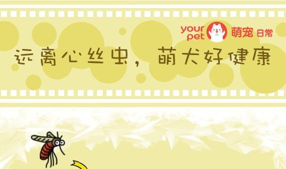 🍜有宠百科 第34话 第1页