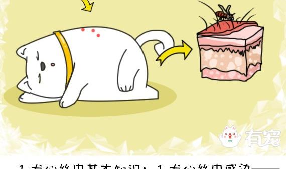 🍜有宠百科 第34话 第2页