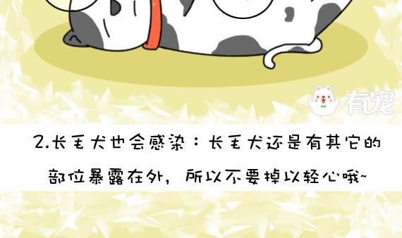 🍜有宠百科 第34话 第4页