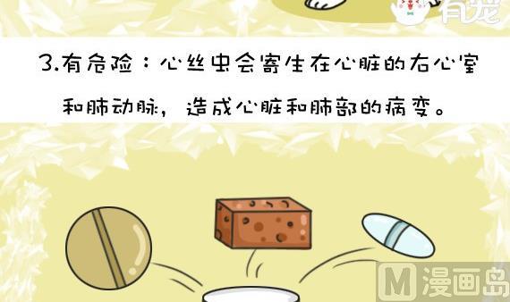 🍜有宠百科 第34话 第6页