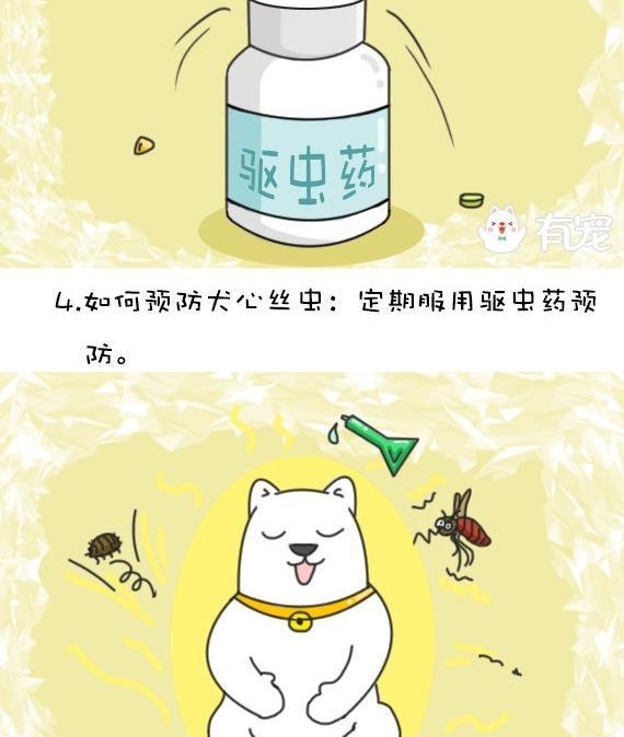🍜有宠百科 第34话 第7页