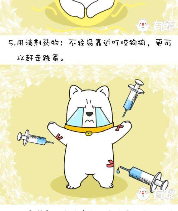 🍜有宠百科 第34话 第8页