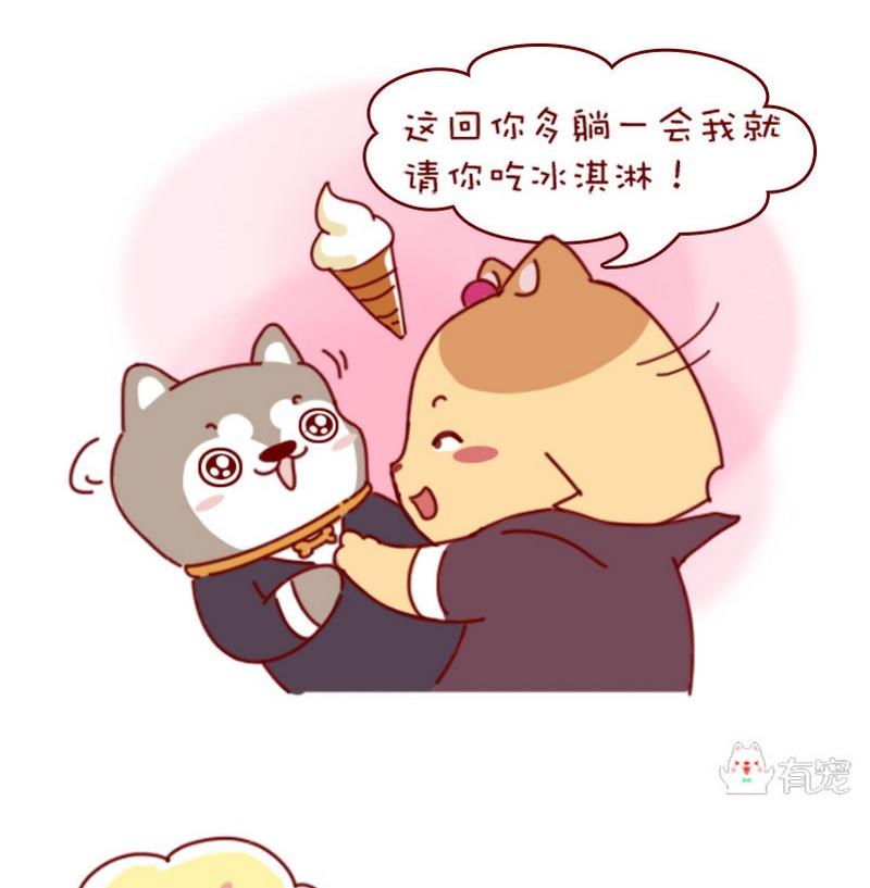 🍜有宠百科 第36话 第10页