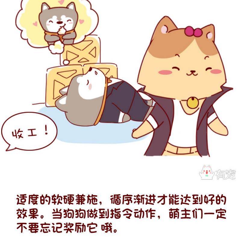 🍜有宠百科 第36话 第11页