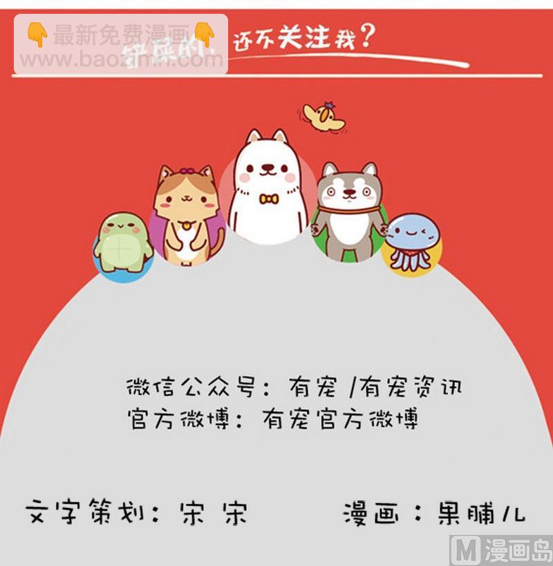 🍜有宠百科 第36话 第12页