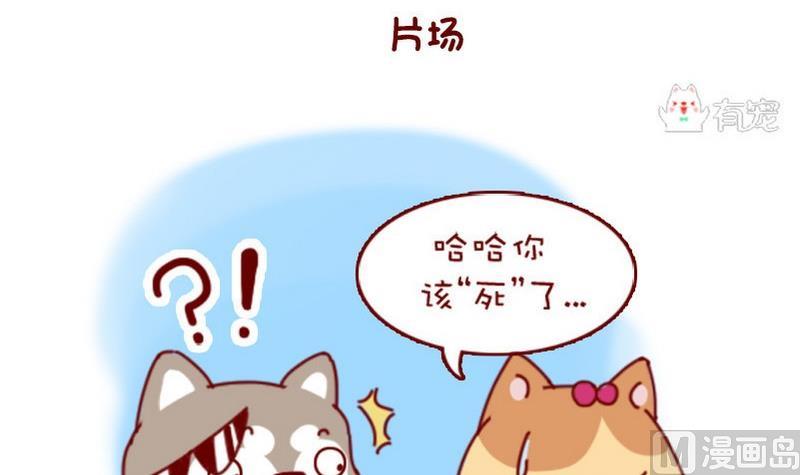 🍜有宠百科 第36话 第3页