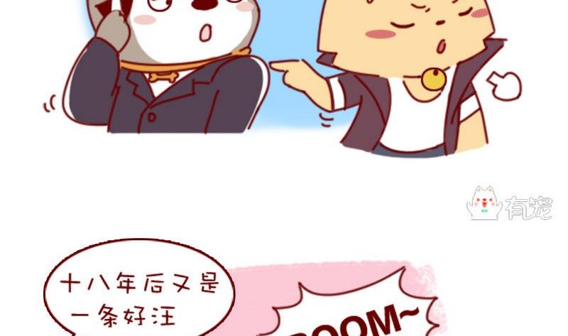 🍜有宠百科 第36话 第4页