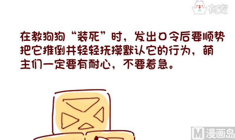 🍜有宠百科 第36话 第6页