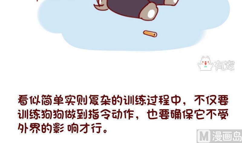 🍜有宠百科 第36话 第9页