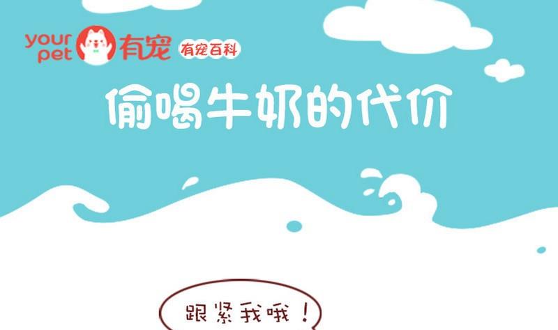 🍜有宠百科 第38话 第1页