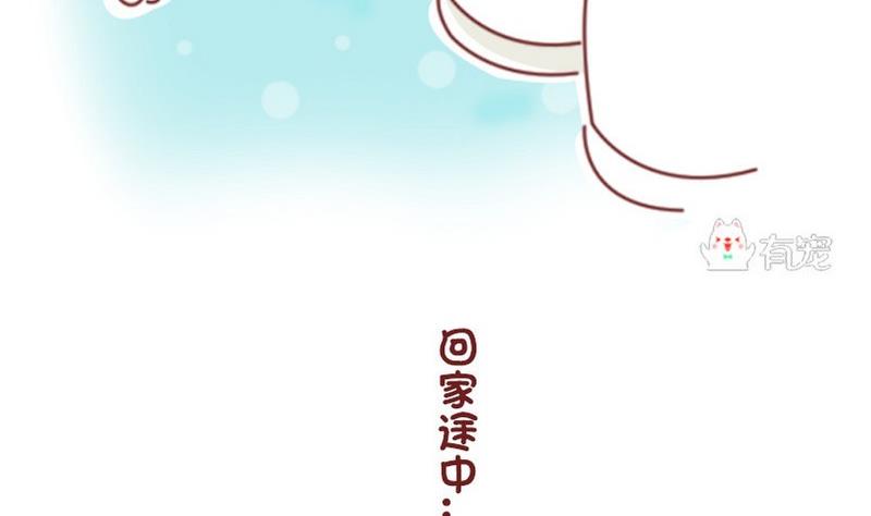 🍜有宠百科 第38话 第10页