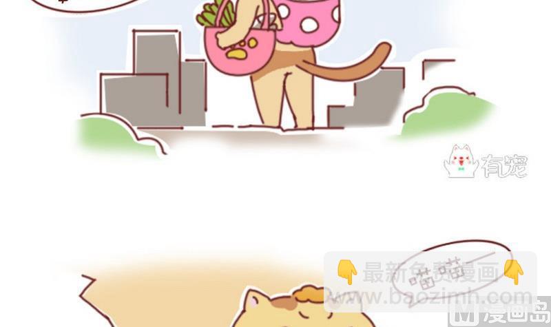 🍜有宠百科 第38话 第12页