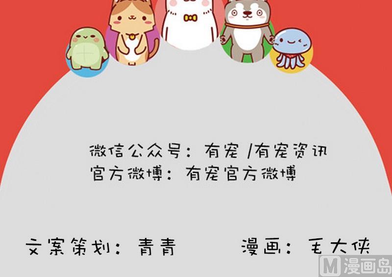 🍜有宠百科 第38话 第15页