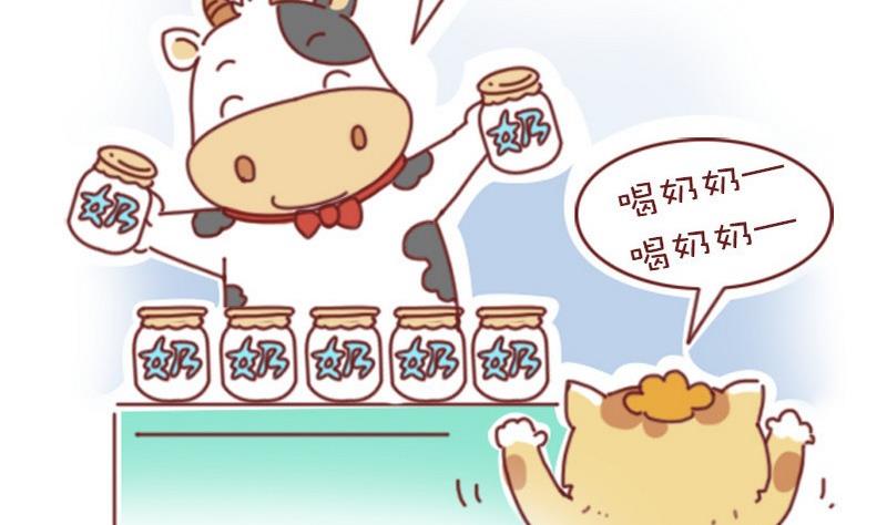 🍜有宠百科 第38话 第4页