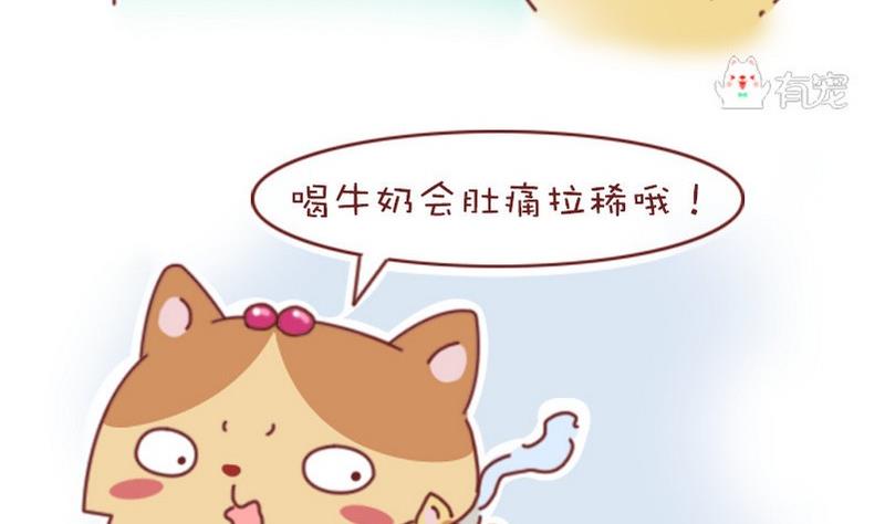 🍜有宠百科 第38话 第5页