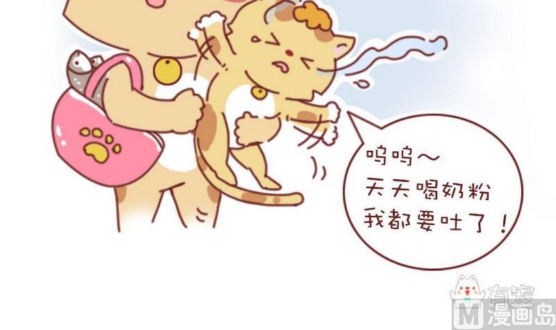 🍜有宠百科 第38话 第6页