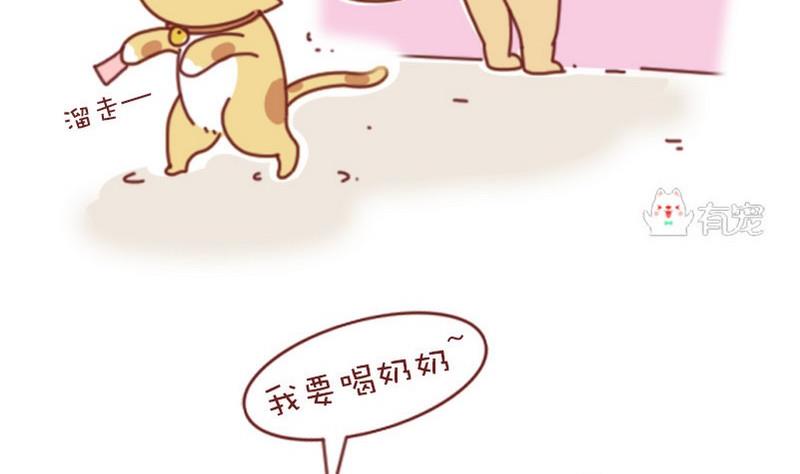 🍜有宠百科 第38话 第8页