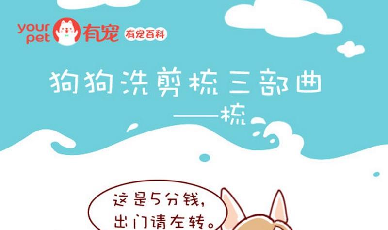 🍜有宠百科 第40话 第1页