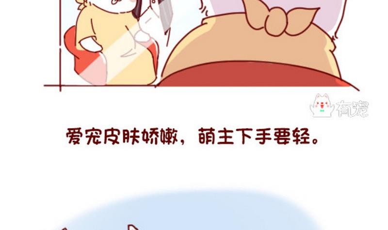🍜有宠百科 第40话 第11页