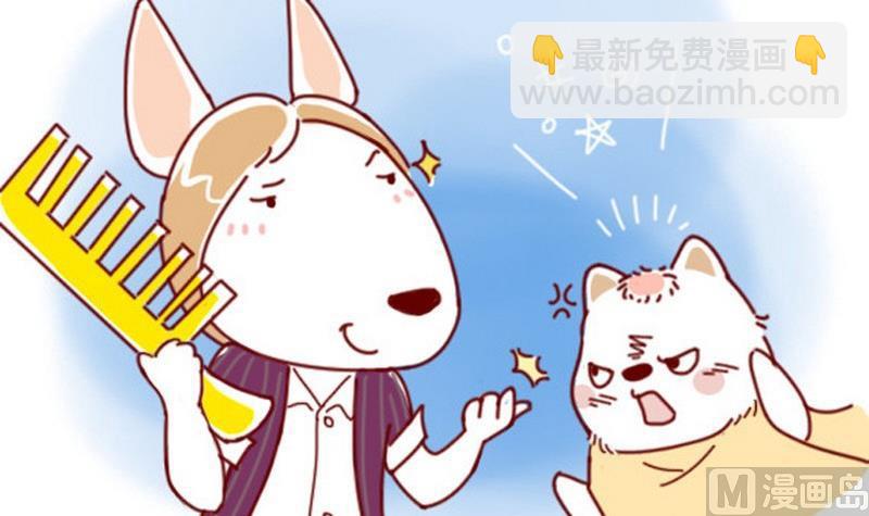 🍜有宠百科 第40话 第12页