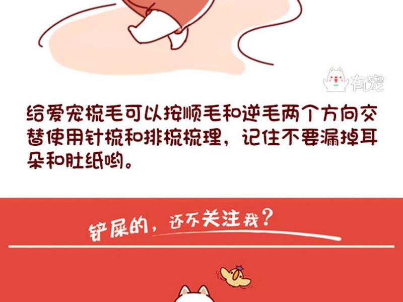 🍜有宠百科 第40话 第14页