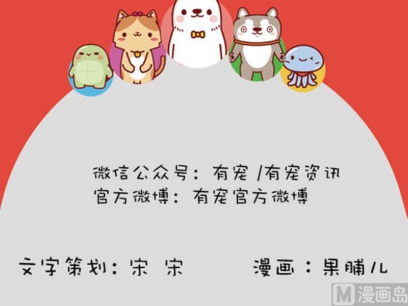 🍜有宠百科 第40话 第15页